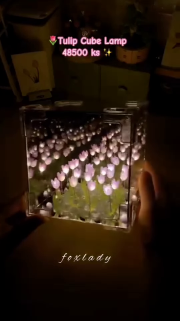 🌷 Tulip Cube LED Lamp