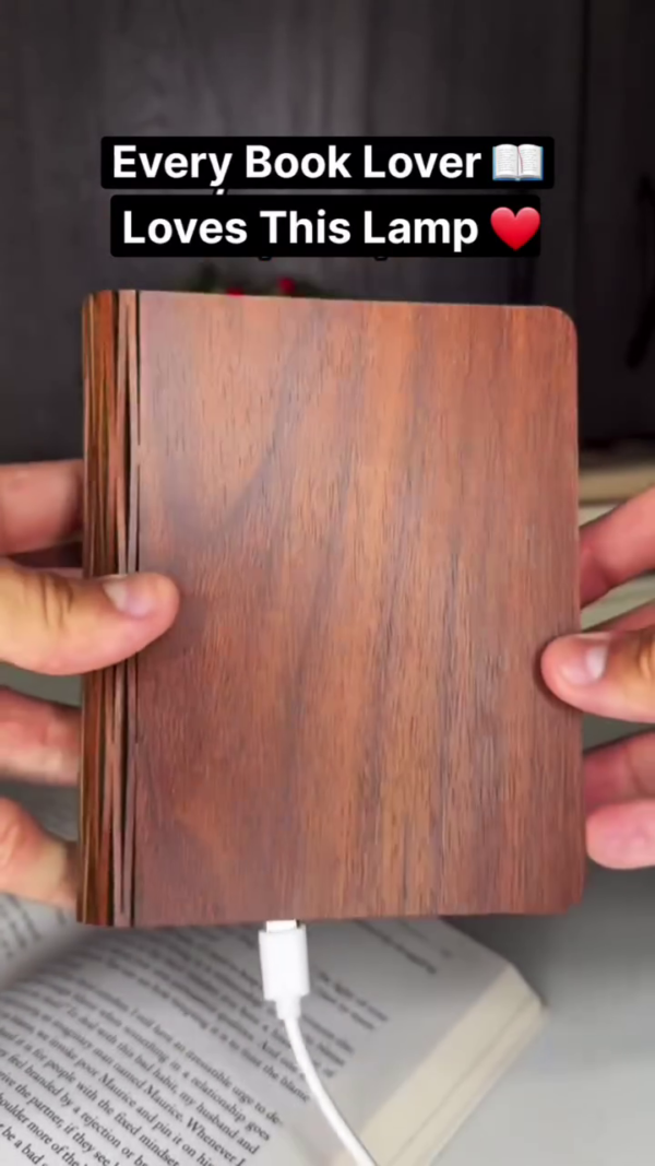 Folding Book Lamp ? Rechargeable LED Origami Light for Readers and Creatives
